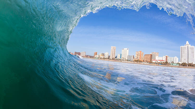 Wave Swimming Ocean Durban