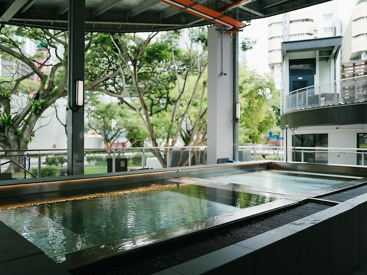 Reva Social Wellness