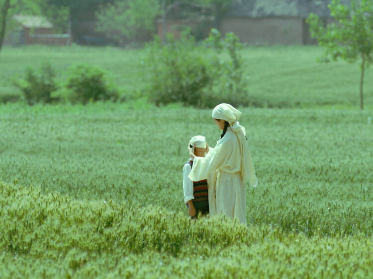 Living the Land – O Vento é Imparável