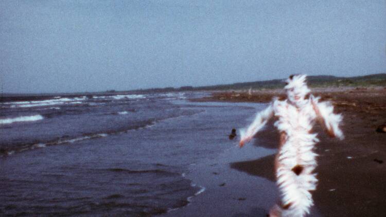 Ana Mendieta, Bird Run 1974. 