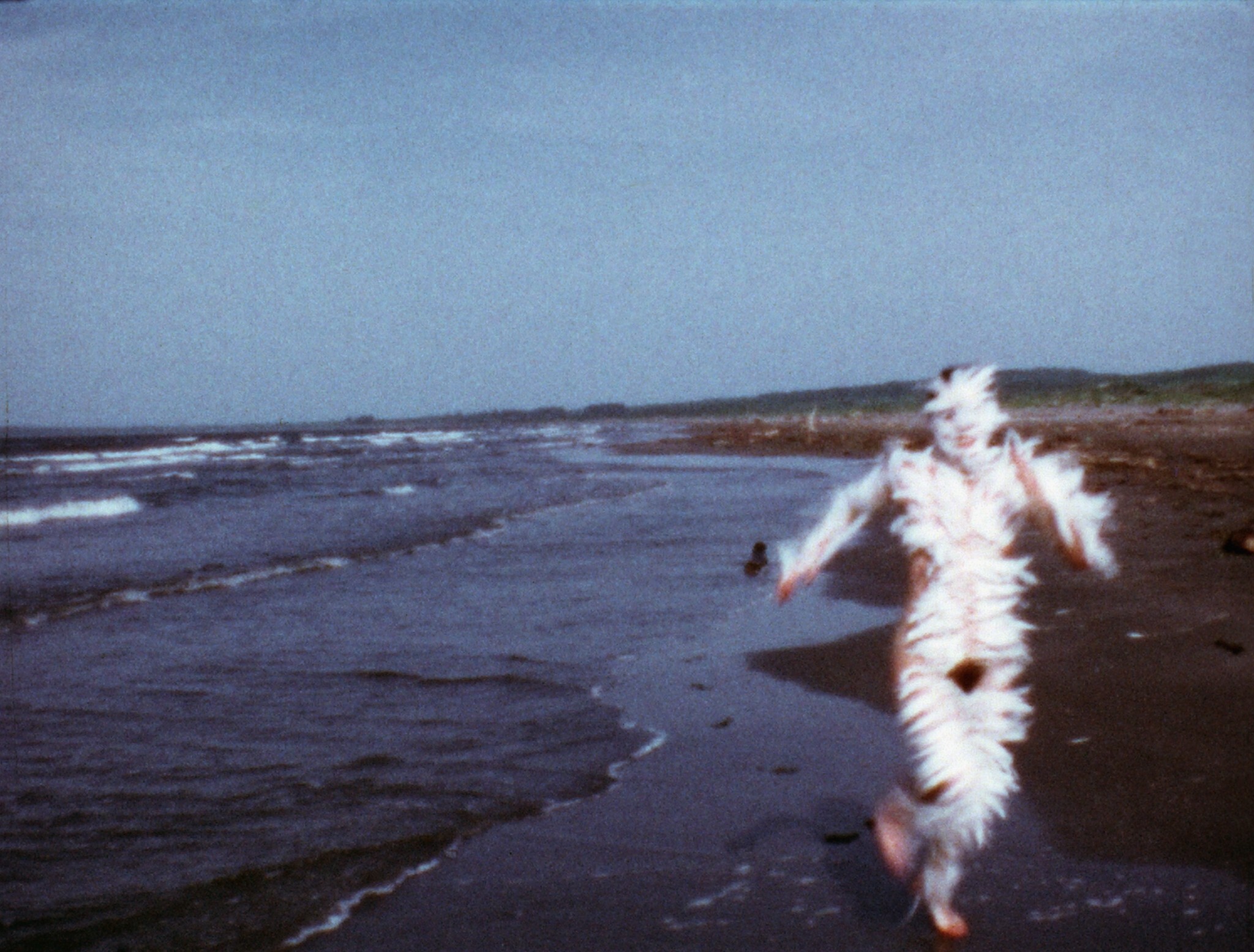 The cult female artist that is getting her biggest ever UK exhibition at Tate Modern this summer