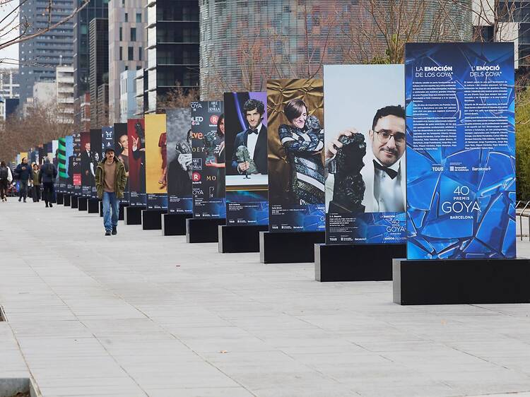 Ir al concierto de Los Goya