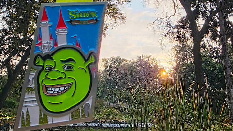 carrera shrek cdmx carrera shrek cdmx