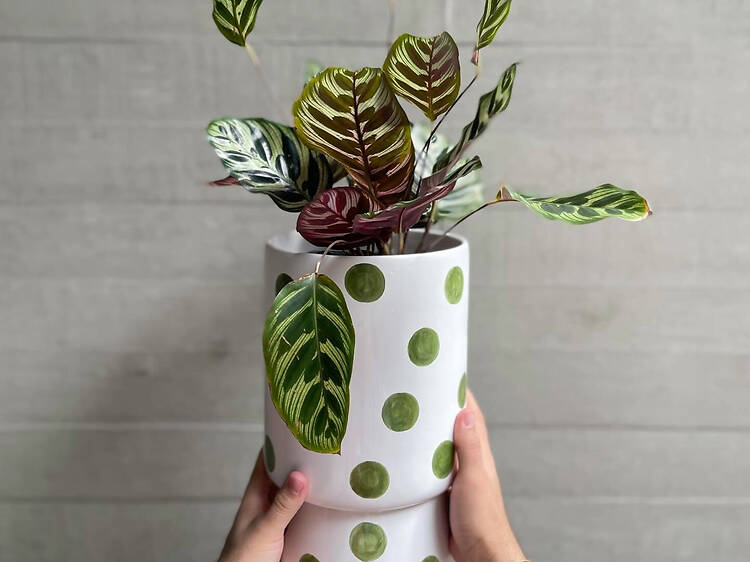 Macetas de Querencia