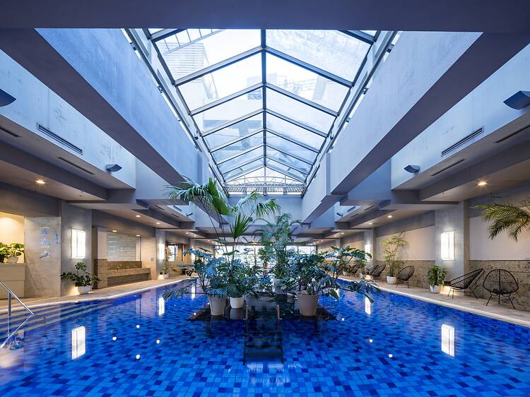 æ€ç©ãšæ¯è²ã調åãããPARADISE 倧æçºåºããã°ã©ã³ããªãŒãã³ æ€ç©ãšæ¯è²ã調åãããPARADISE 倧æçºåºããã°ã©ã³ããªãŒãã³