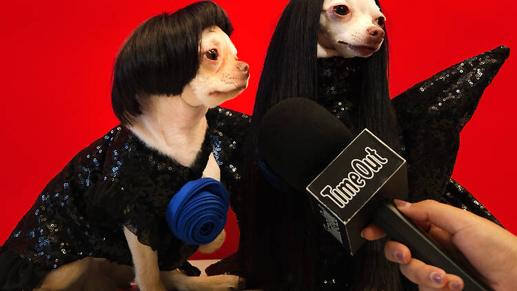 Dressed for dinner, ready for the mall