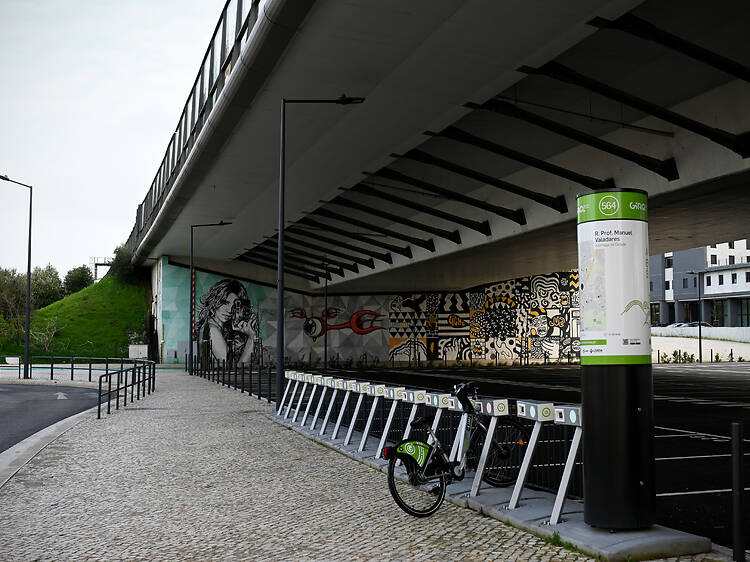 Gira de Santa Clara: Emel quer travar vandalismo com sensibilização mas em quatro meses ainda não começou