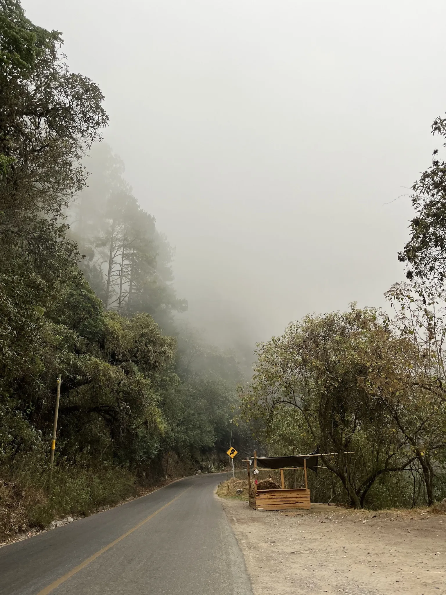 A foggy road in San Jose del Pacifico