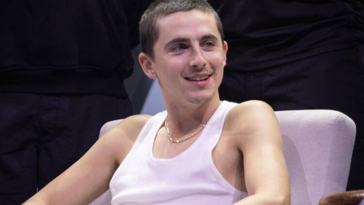 Timothée Chalamet 