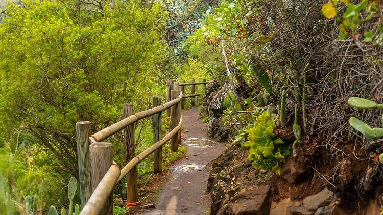 Touch grass at Los Tilos de Moya