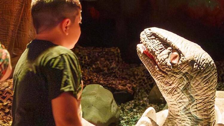 Era Cretácica 2 en Unicenter