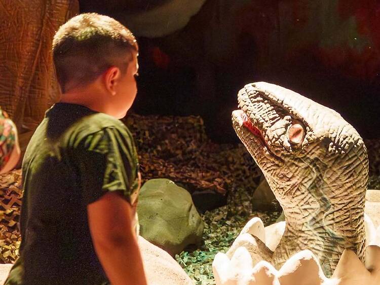 Era Cretácica 2 en Unicenter