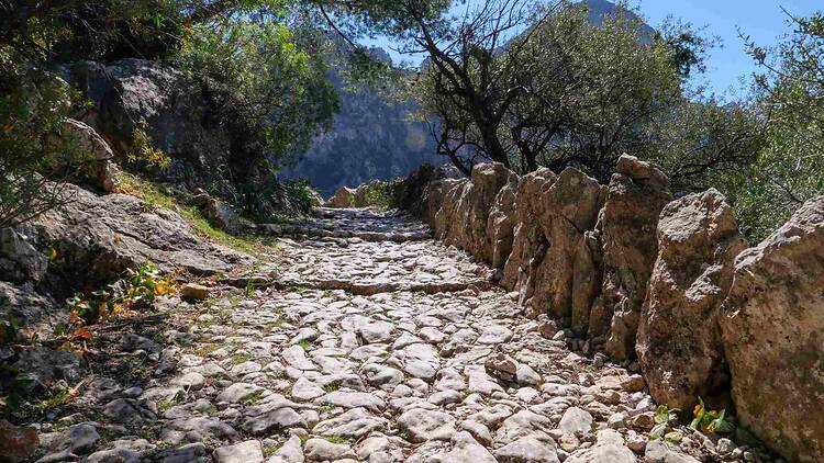 Hike through La Ruta de Pedra en Sec
