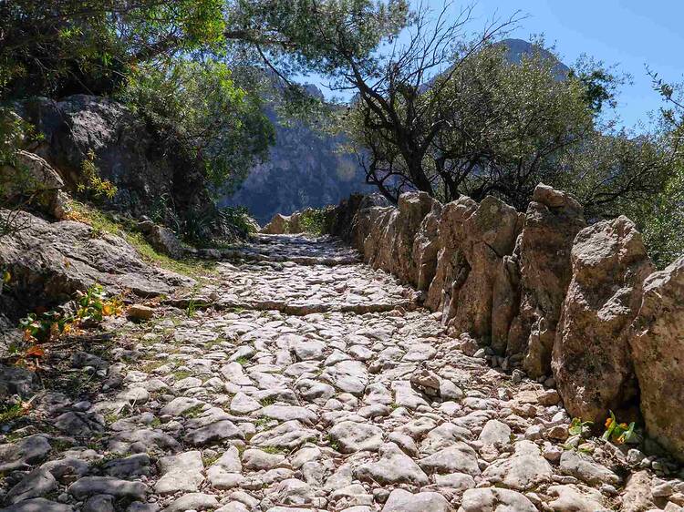 Hike through La Ruta de Pedra en Sec