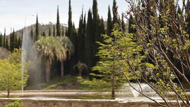 Jardín Botánico-Histórico La Concepción