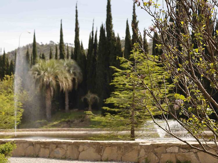 Jardín Botánico-Histórico La Concepción