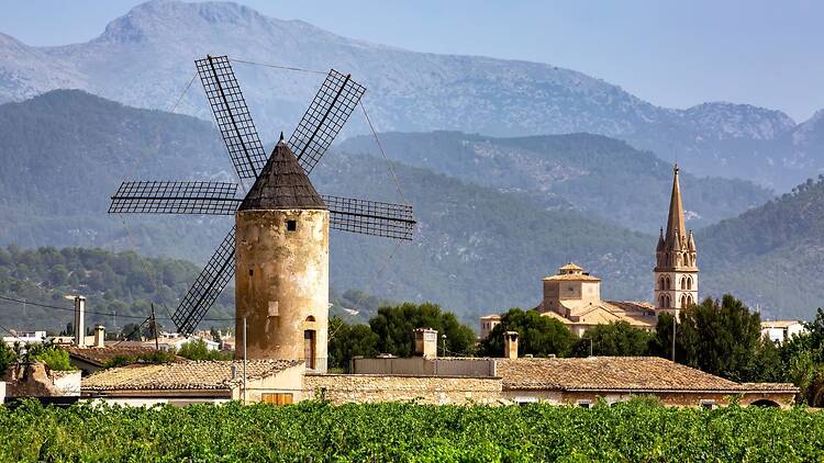 Book a wine-tasting in Binissalem