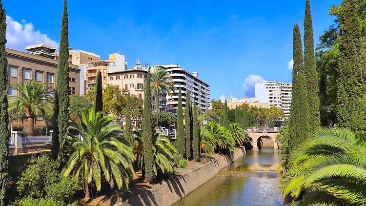 Grab a drink in Santa Catalina (Palma de Majorca)