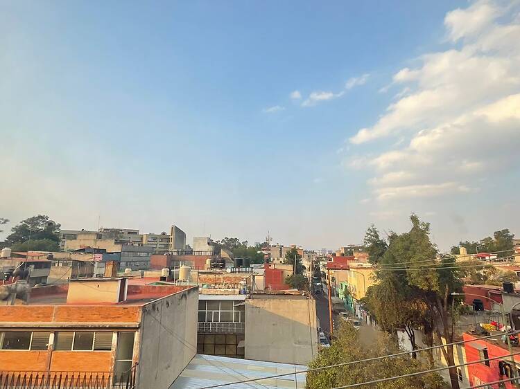 Work in Progress renueva Art Week México