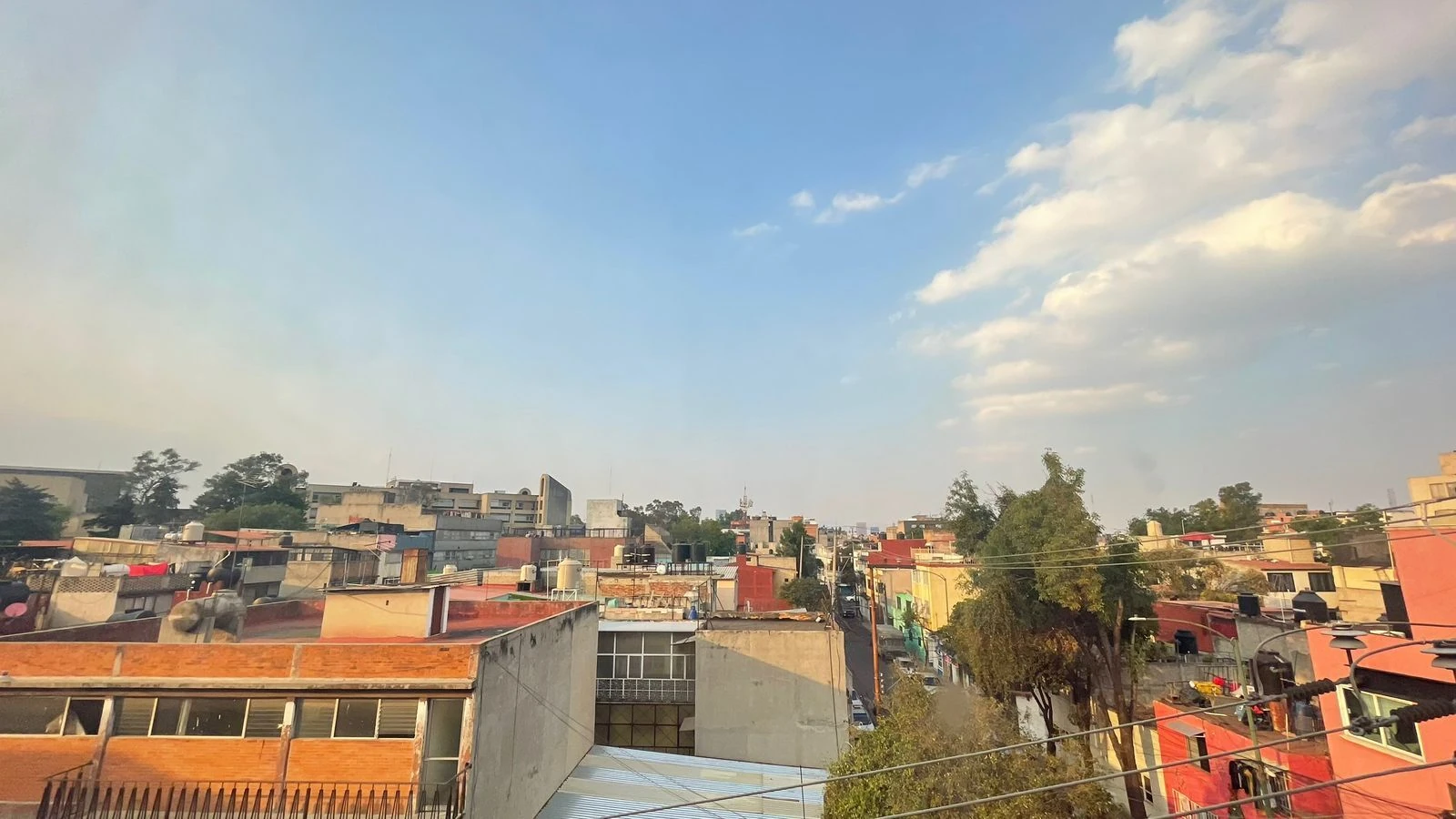 Work in Progress Art Week M&eacute;xico