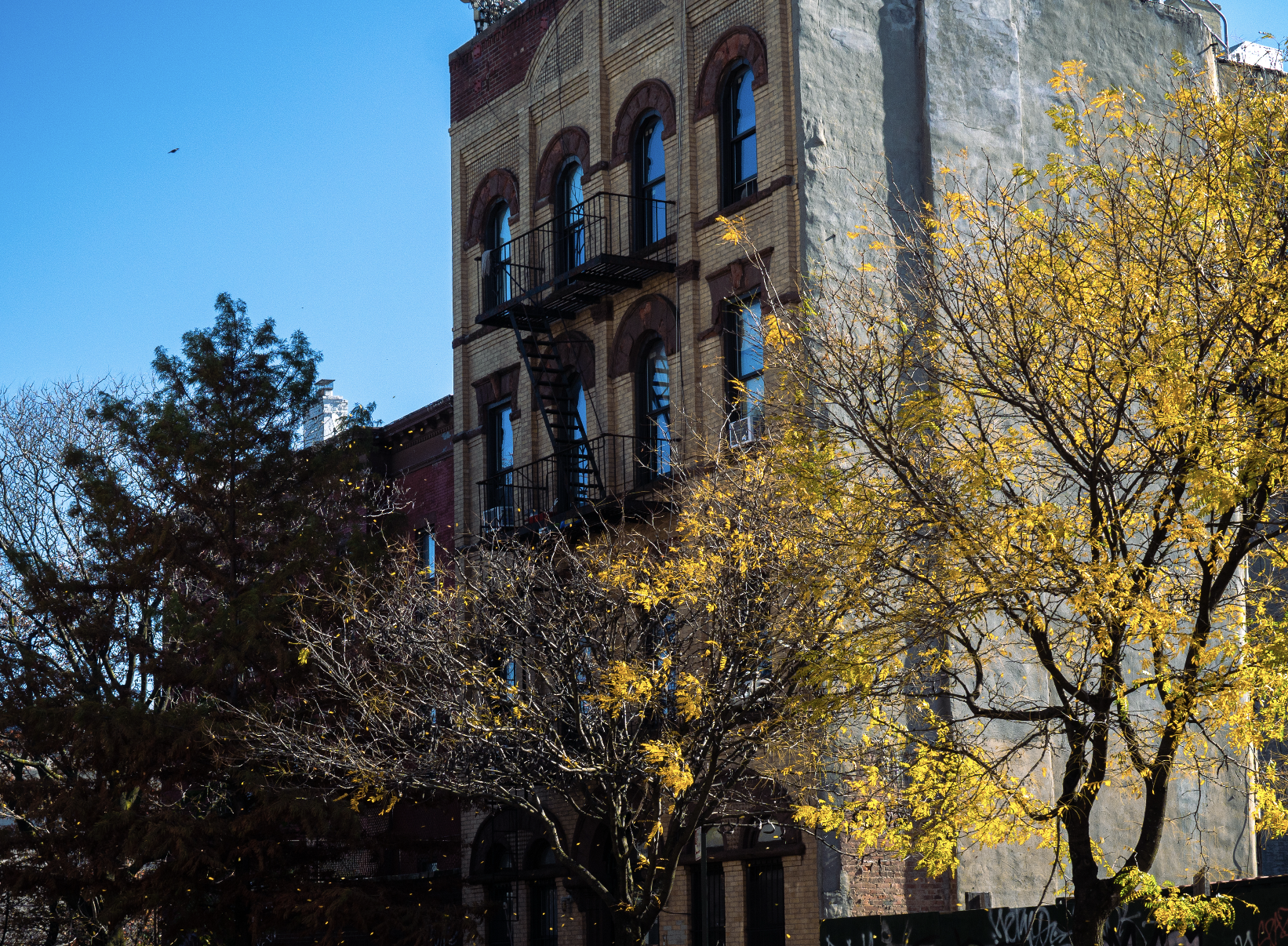 This Brooklyn neighborhood was crowned the best for 2026 home buyers-here is why