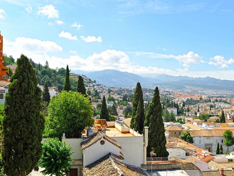 Wander the Realejo neighbourhood