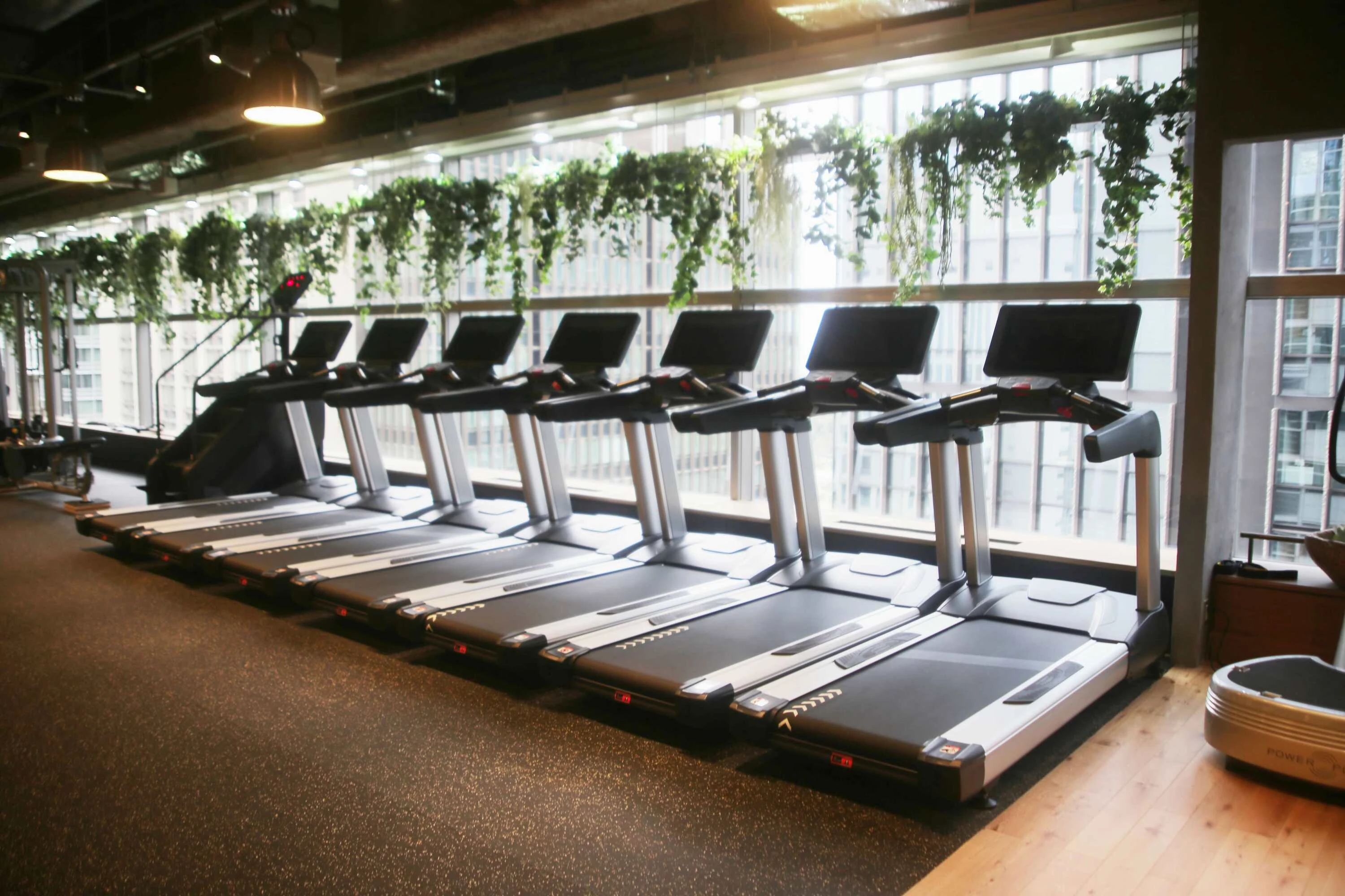 Paradise 大手町