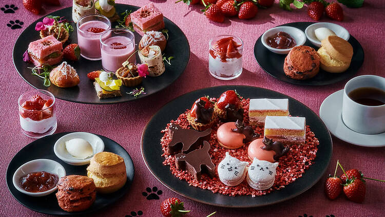 ストロベリー＆キャット アフタヌーンティー