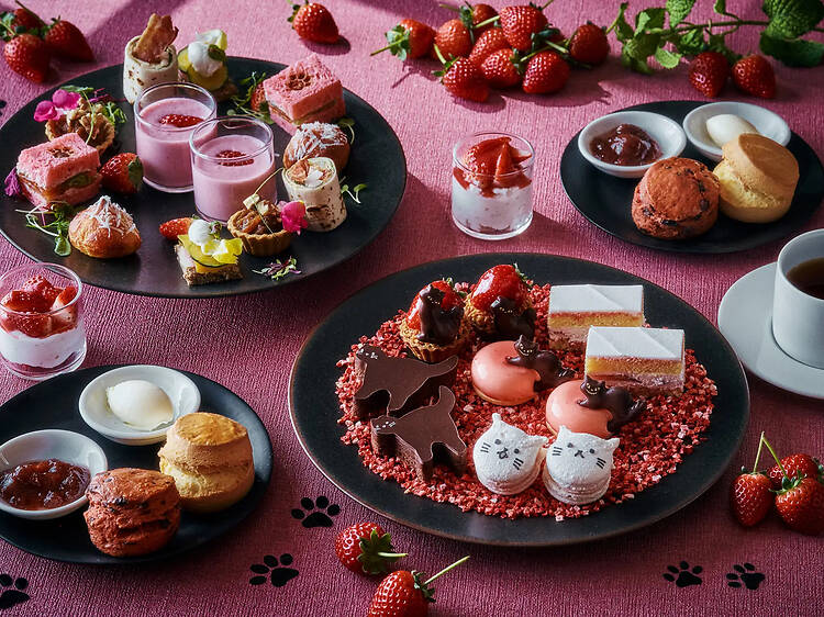 ストロベリー＆キャット アフタヌーンティー