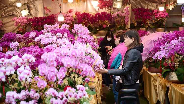 Roam through colourful Chinese New Year flower markets