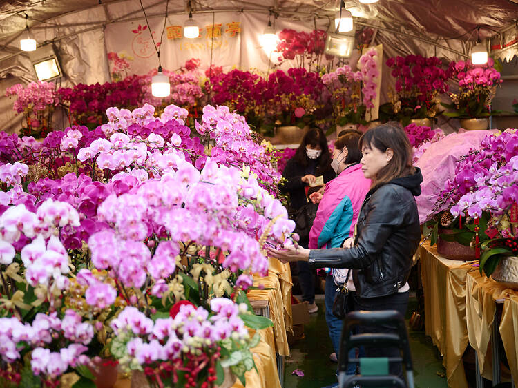 Roam through colourful Chinese New Year flower markets