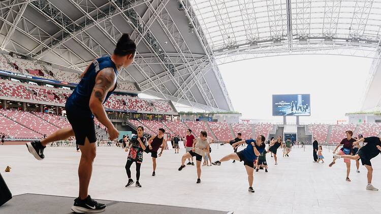 National Stadium Experience