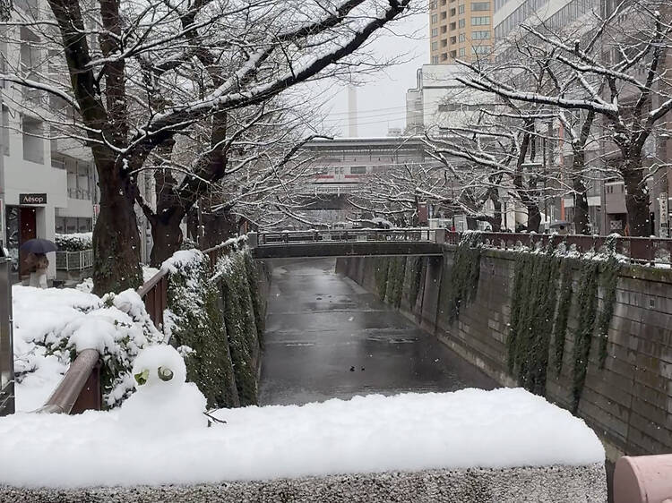 In photos: a rare snow day in Tokyo