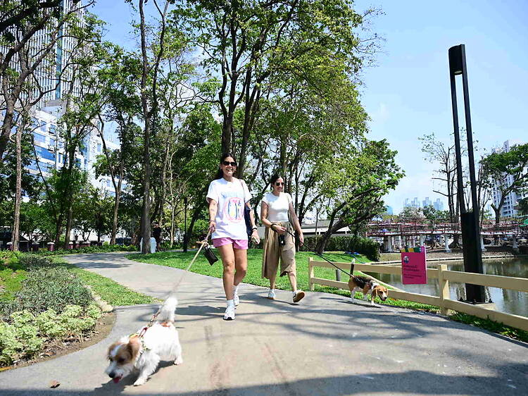 Lumphini Dog Park สวนสุนัขสไตล์ญี่ปุ่นแห่งใหม่ใจกลางถนนวิทยุ เปิดให้บริการแล้ววันนี้