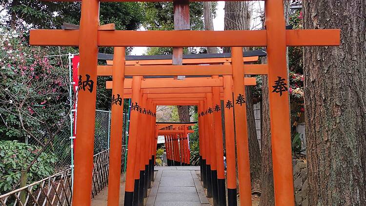 Hanazano Inari Shrine torii gates