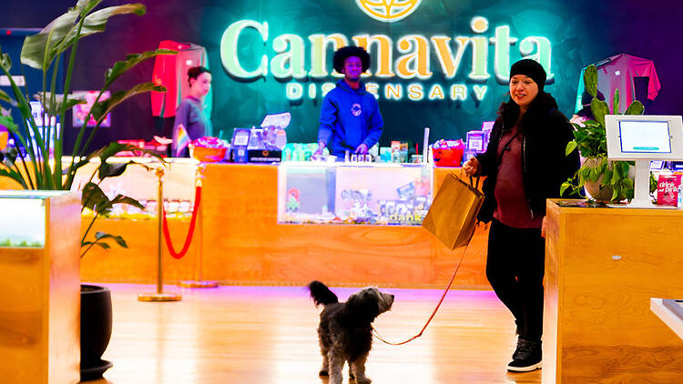 7 - Dog Shopping  (Cannavita )