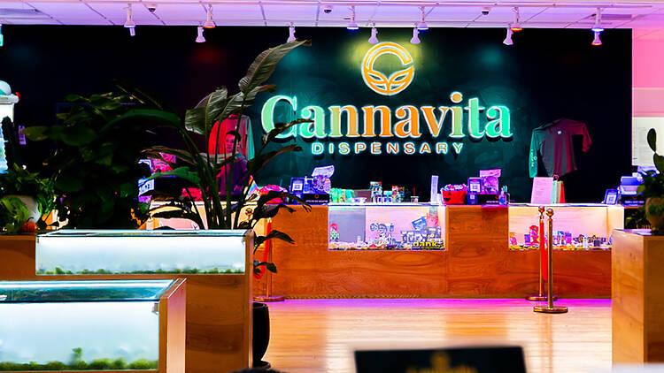 8 - Register Store Lighting  (Cannavita )