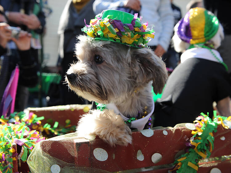 Mardi Gras at the Original Farmers Market