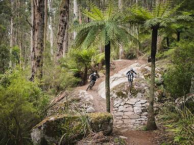 This epic mountain bike park just 90 minutes from Melbourne has more than doubled in size
