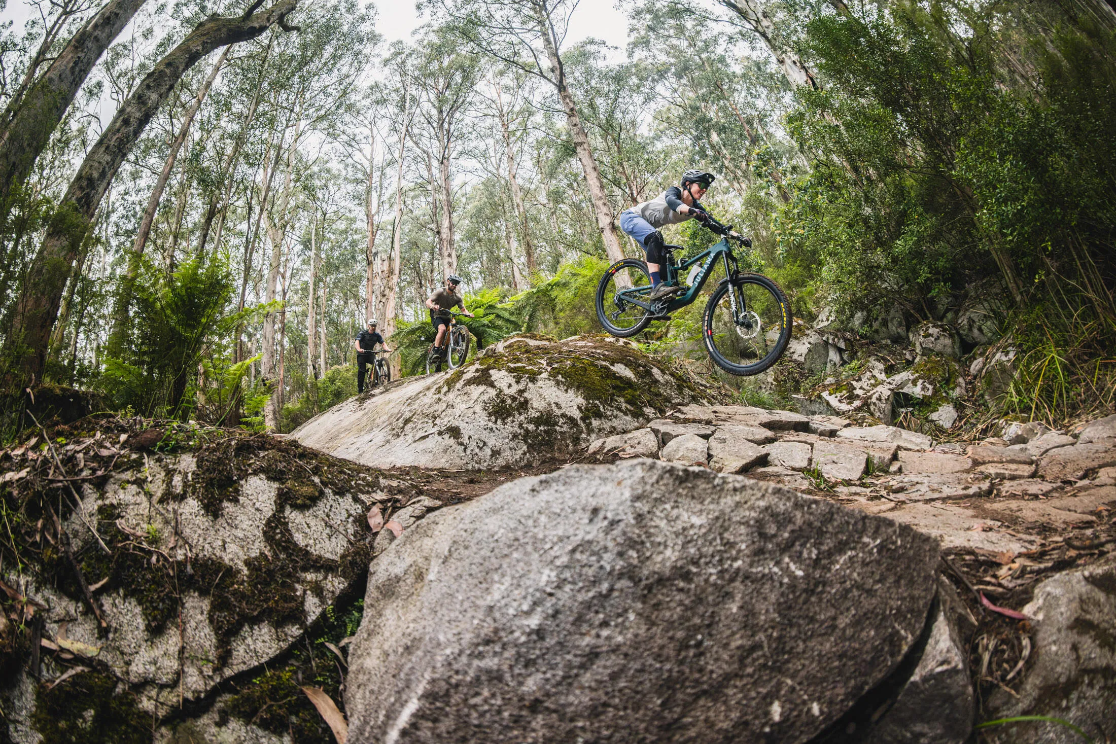 Warburton Bike Trails