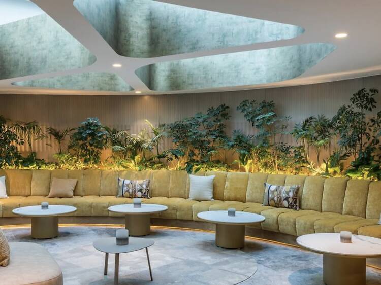 Cafés para amantes del diseño en la CDMX