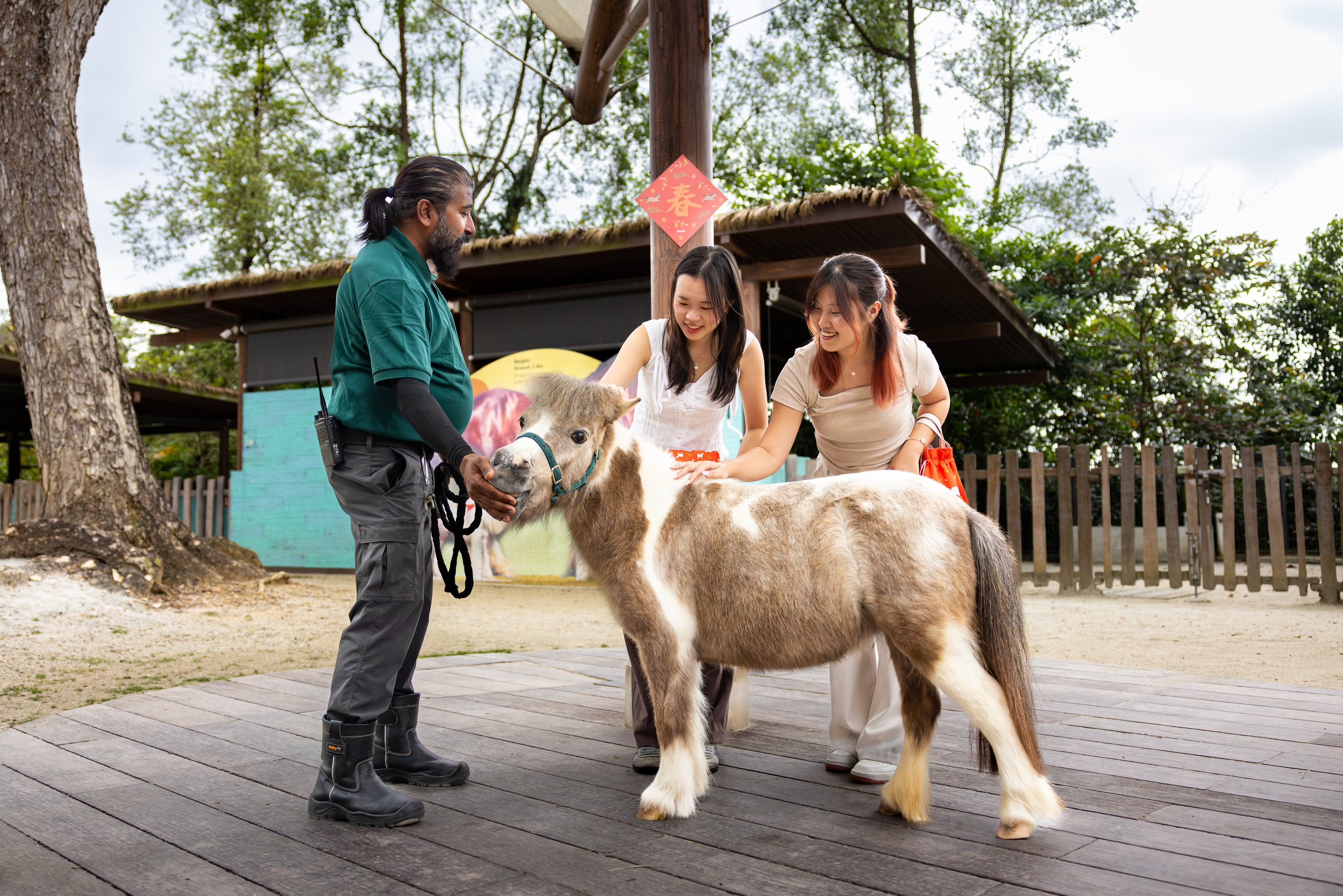 Giddy up! Mandai Wildlife celebrates the Year of the Horse with festive trails and animal meet-and-greets this Lunar New Year