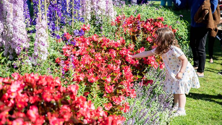 Ballarat Begonia Festival 