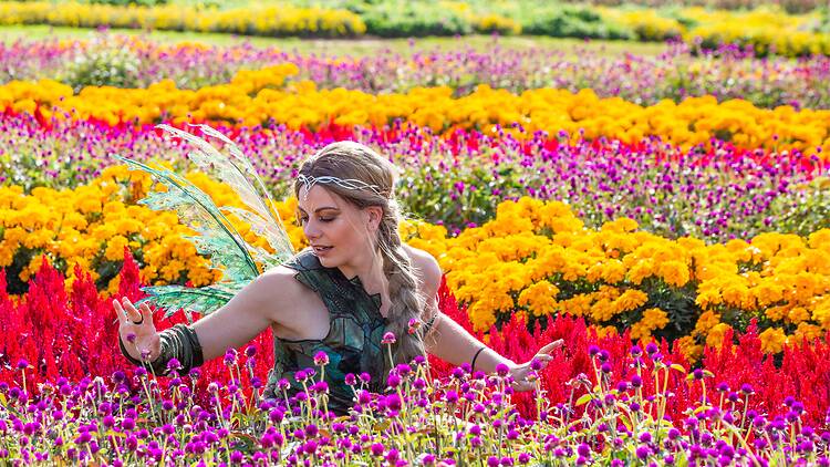 a woman in a field full of flowers