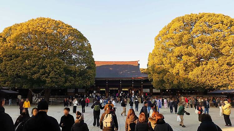 11. Meiji Shrine