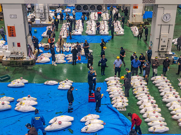 The alternative: Toyosu Market