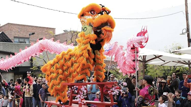 Lunar New Year at One Colorado