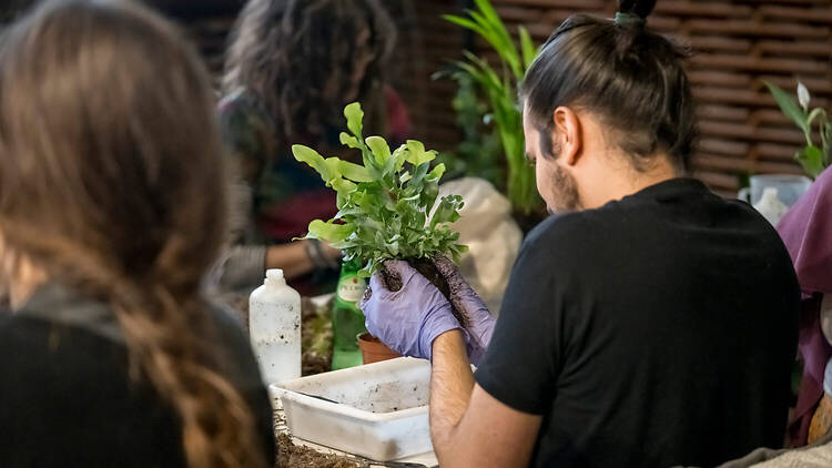 Descubrir lo que tienen en común el arte y la naturaleza en este festival