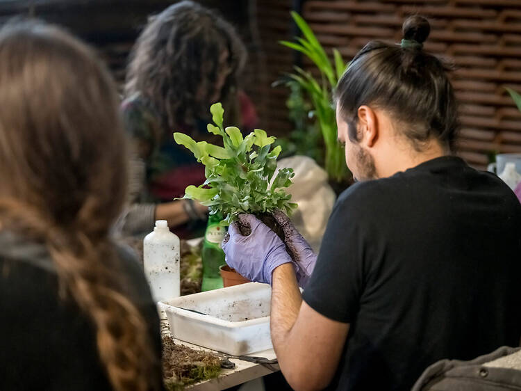 Descubrir lo que tienen en común el arte y la naturaleza en este festival