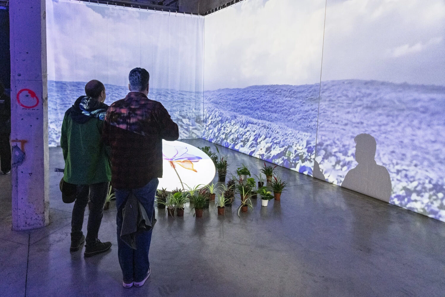 Biophest. Ayuntamiento de Madrid